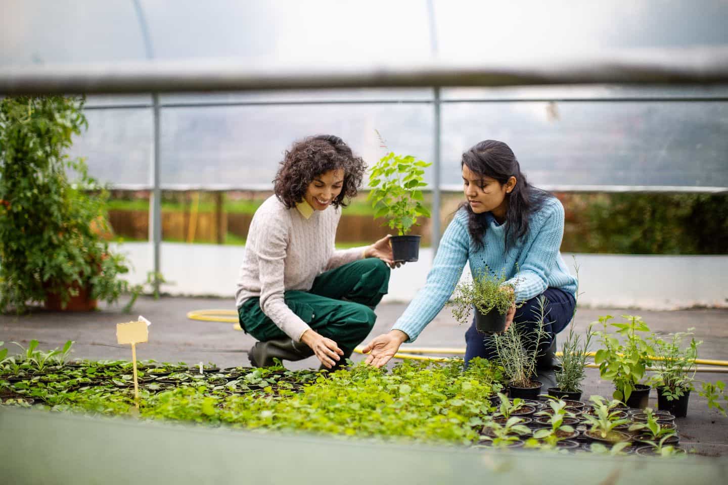 Deux femmes jardinent